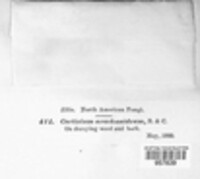 Image Associated With the Occurence